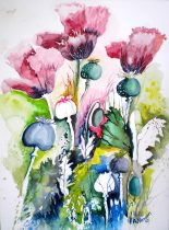 Mohnblüten und Kapseln