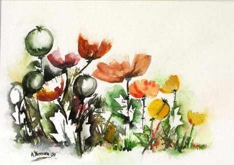 Aquarellgemälde Mohnblüten und -kapseln